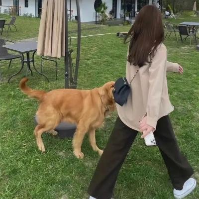 普通人